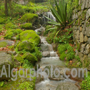 Algarve photography colour photo Caldas de Monchique