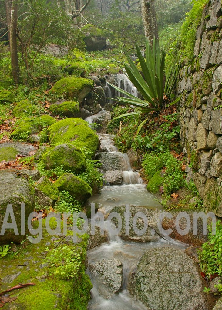 Algarve photography Caldas de Monchique Stream