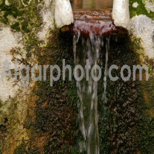 Algarve photography colour image Caldas de Monchique