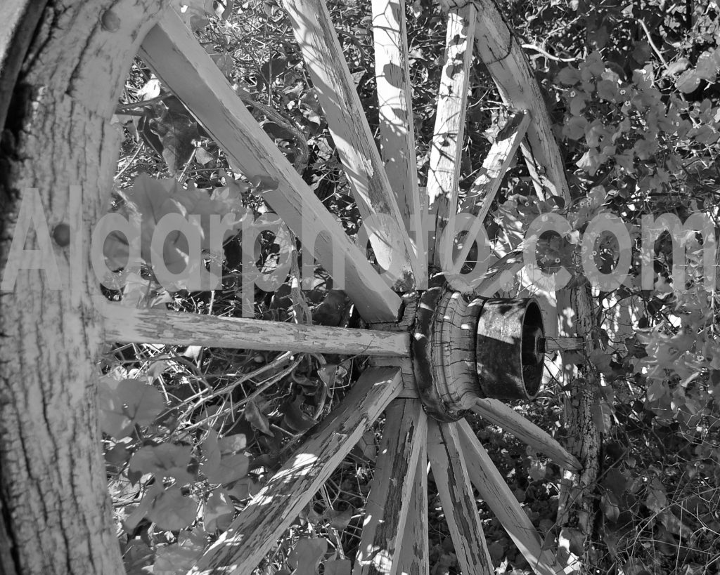 Algarve photography Old Cart Wheel