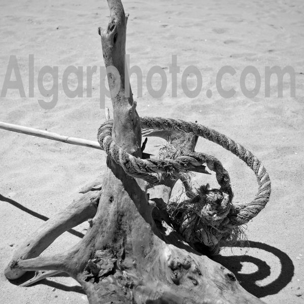 Algarve photography mono images by algarphoto
