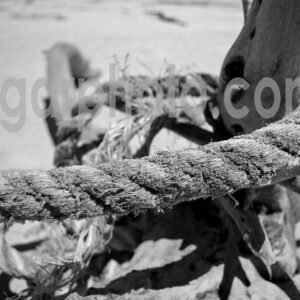 Praia da Amoreira Algarve photography mono images by algarphoto