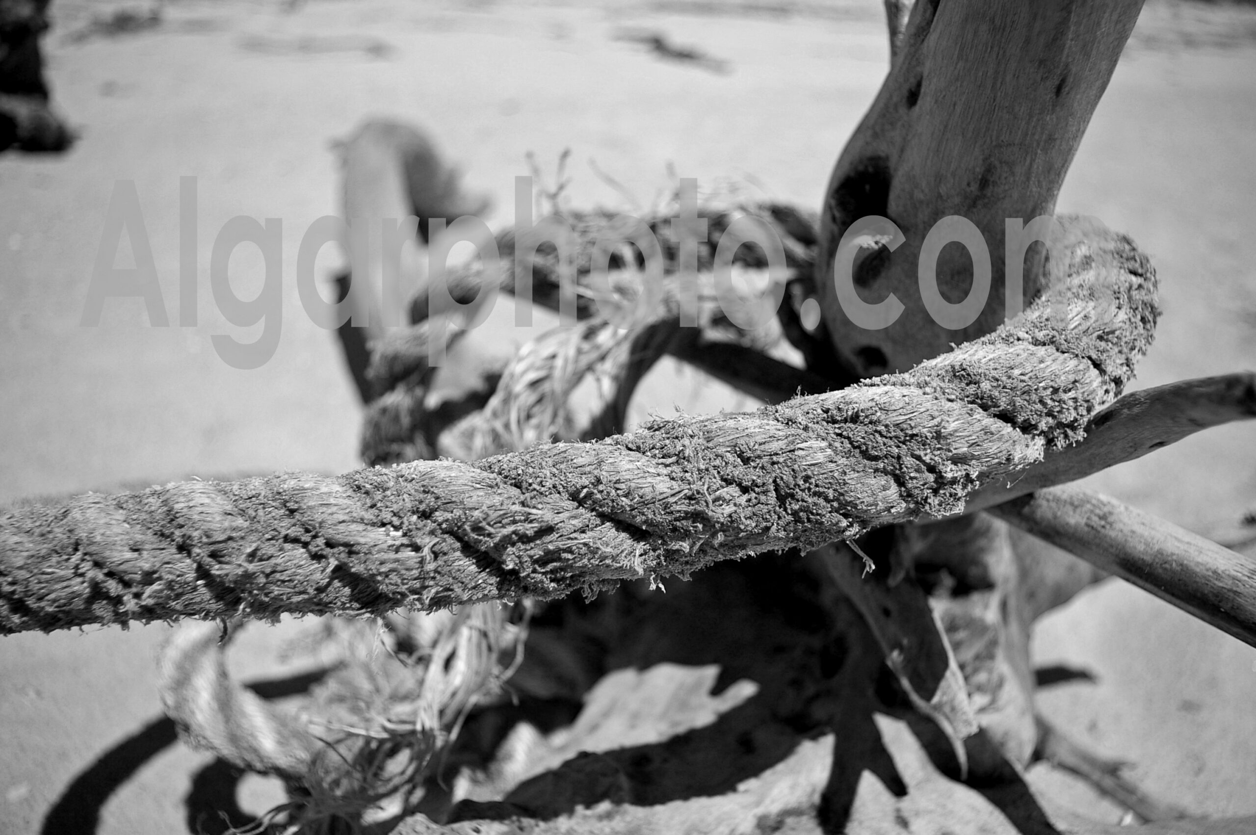 Praia da Amoreira Algarve photography mono images by algarphoto