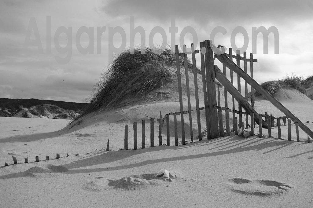 Algarve photography Amoreira Dunes