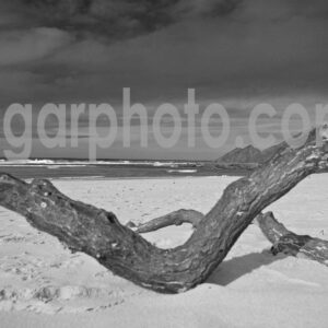 Praia da Amoreira Algarve photography mono images by algarphoto