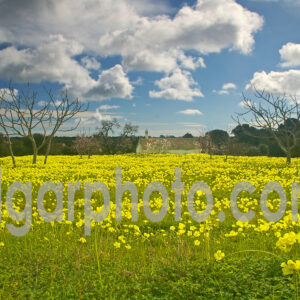 Algarve photography colour landscape image