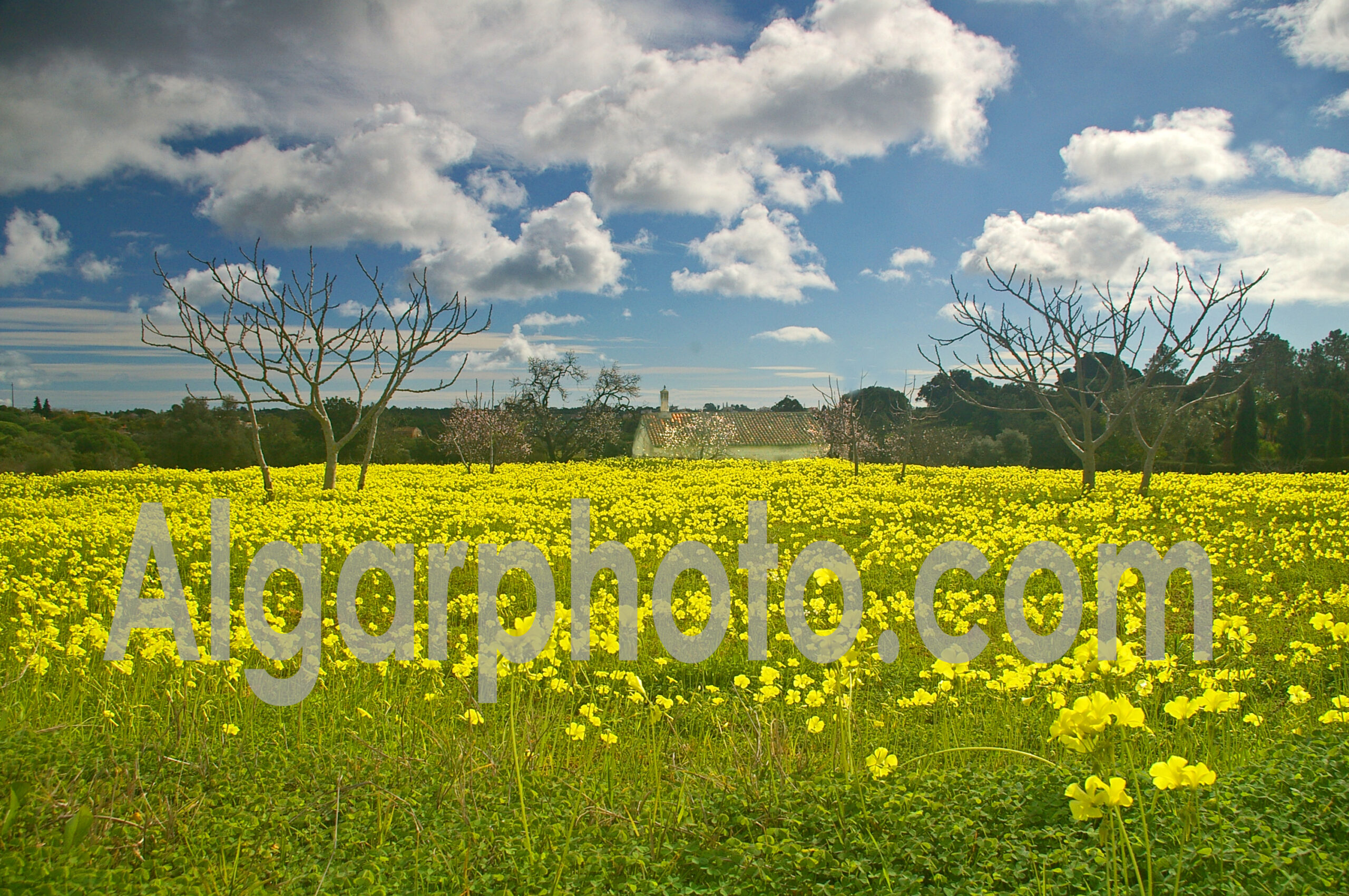 Algarve photography colour landscape image