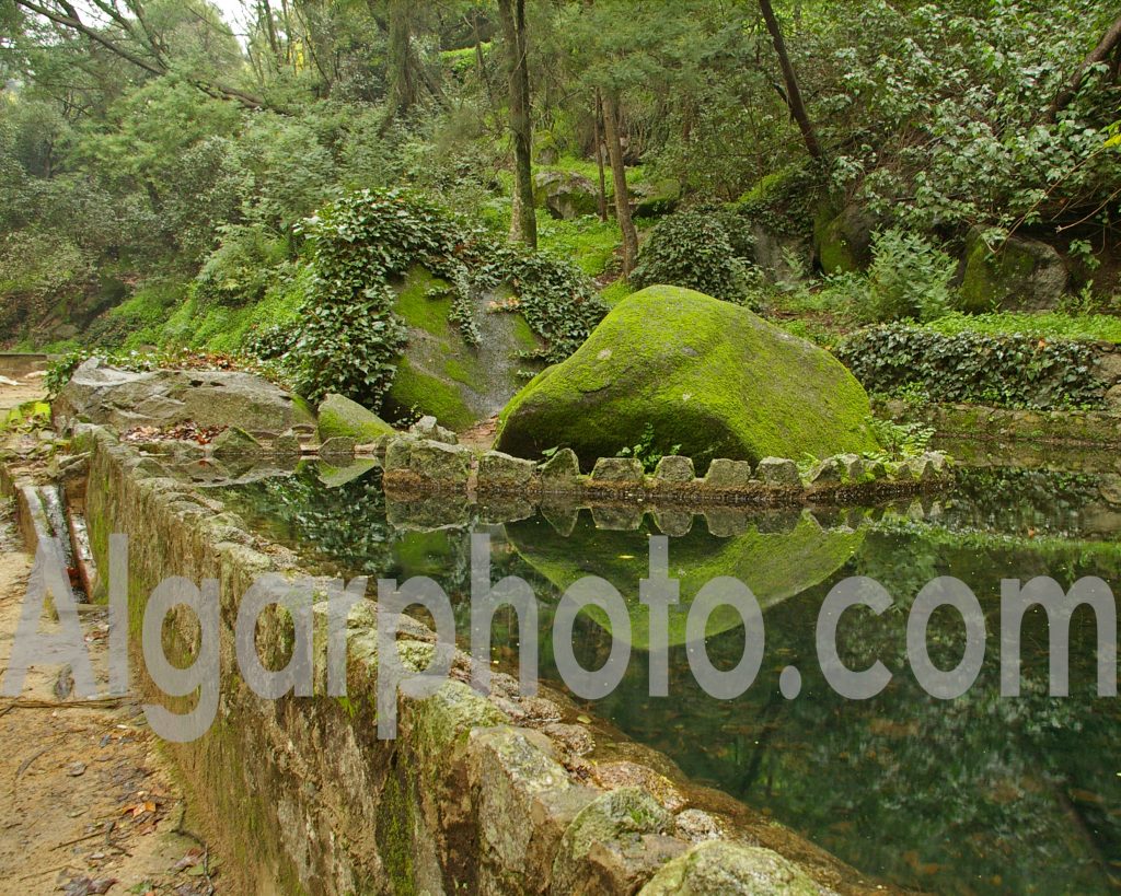 Algarve photography Caldas de Monchique Aguas 3