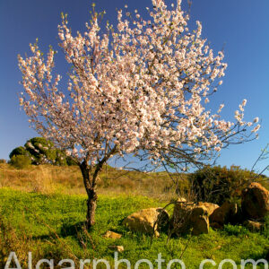 Algarve photography landscape colour