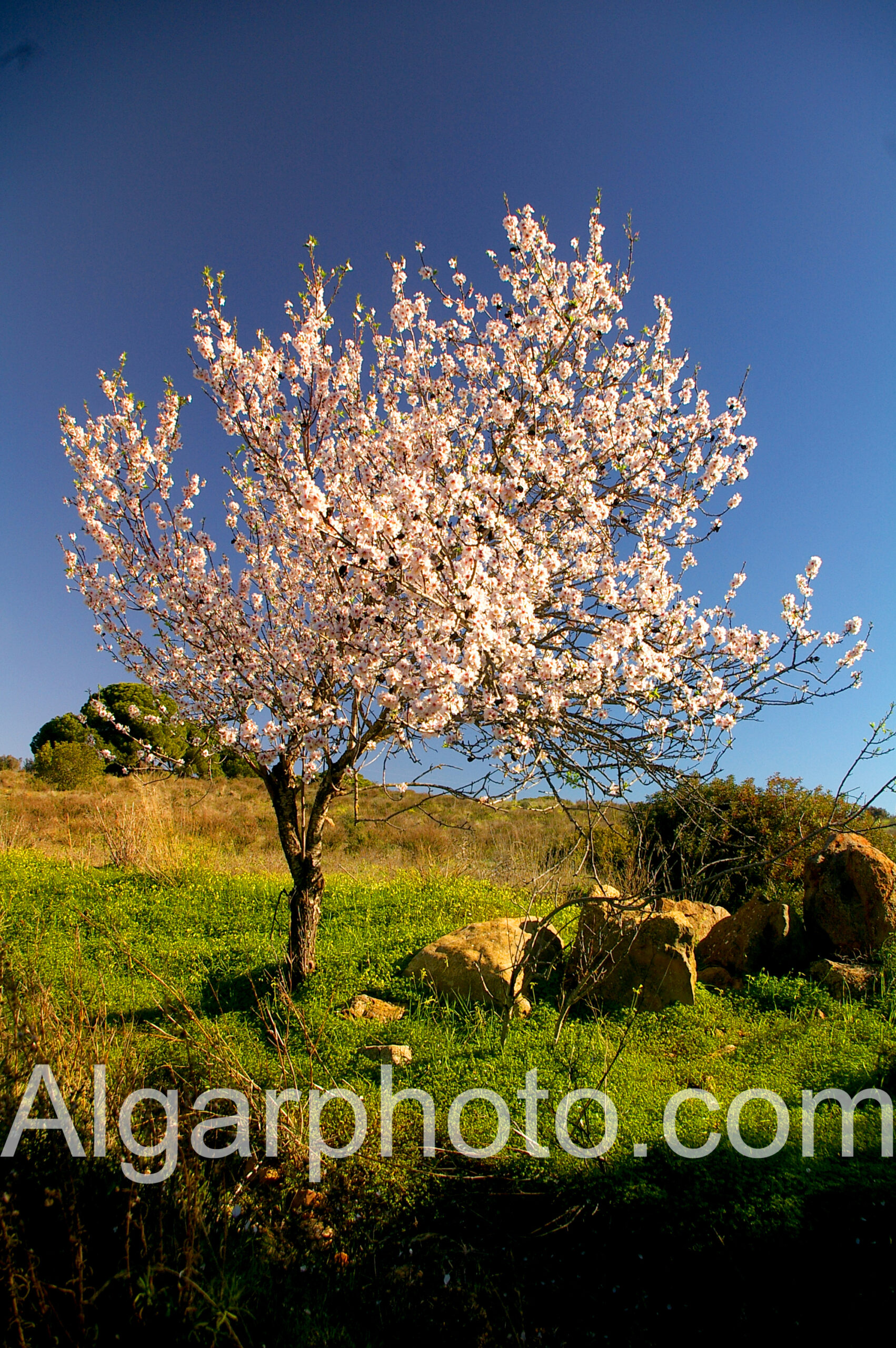 Algarve photography landscape colour