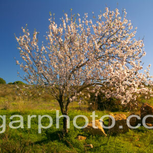 Algarve photography landscape colour